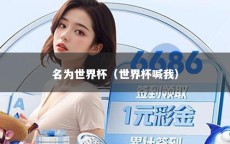 名为世界杯（世界杯喊我）