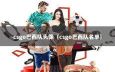 csgo巴西队头像（csgo巴西队名单）
