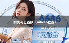 耐克与巴西队（nikesb巴西）