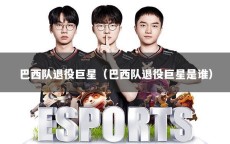 巴西队退役巨星（巴西队退役巨星是谁）