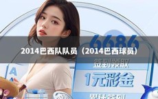 2014巴西队队员（2014巴西球员）