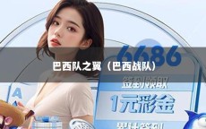 巴西队之翼（巴西战队）