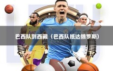 巴西队到西藏（巴西队抵达俄罗斯）