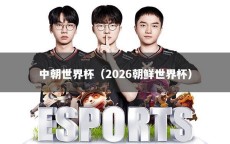 中朝世界杯（2026朝鲜世界杯）
