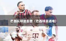 巴西队球迷去世（巴西球员遇难）