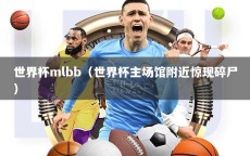 世界杯mlbb（世界杯主场馆附近惊现碎尸）