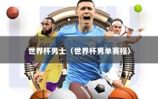 世界杯男士（世界杯男单赛程）