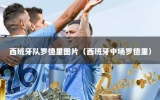 西班牙队罗德里图片（西班牙中场罗德里）