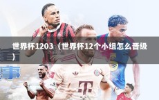 世界杯1203（世界杯12个小组怎么晋级）