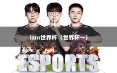 iam世界杯（世界杯一）