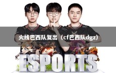 火线巴西队复出（cf巴西队dgz）
