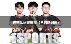 巴西队比赛课程（巴西队训练）