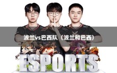 波兰vs巴西队（波兰和巴西）