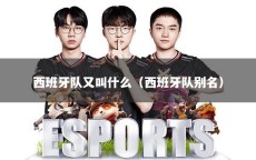 西班牙队又叫什么（西班牙队别名）