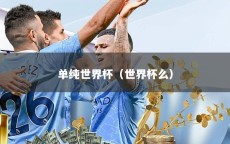 单纯世界杯（世界杯么）