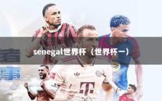 senegal世界杯（世界杯一）