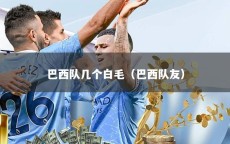 巴西队几个白毛（巴西队友）