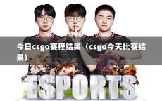 今日csgo赛程结果（csgo今天比赛结果）