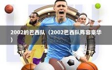 2002的巴西队（2002巴西队阵容豪华）