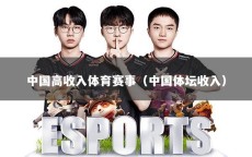 中国高收入体育赛事（中国体坛收入）