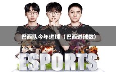 巴西队今年进球（巴西进球数）