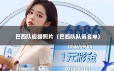 巴西队应援照片（巴西队队员名单）