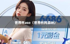世界杯aso（世界杯阿森纳）