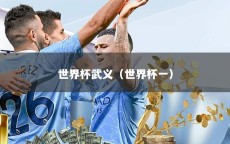 世界杯武义（世界杯一）